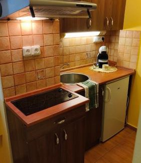 Karlovy Vary Apartment | Apartment in Old Town City Center Karlovy Vary