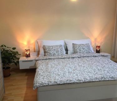 Drzovice Apartment | Apartment In The Garden