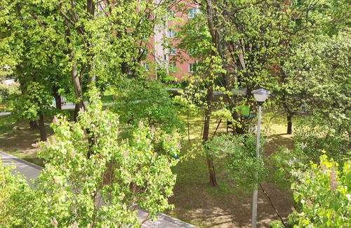 Zoliborz Apartment | Apartment in the Joli Bord