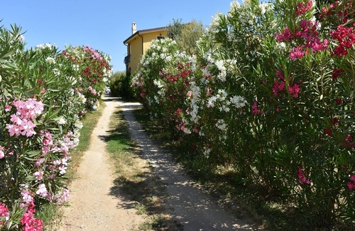 Lotzorai Apartment | Apartment in villa with exclusive garden