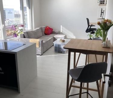 Dolni Mecholupy Apartment | Apartment Little Hill