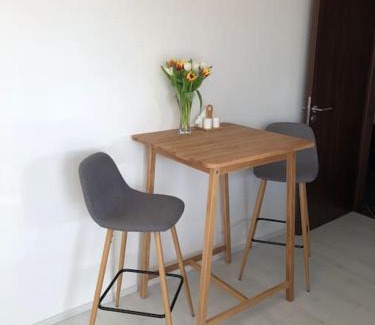 Dolni Mecholupy Apartment | Apartment Little Hill