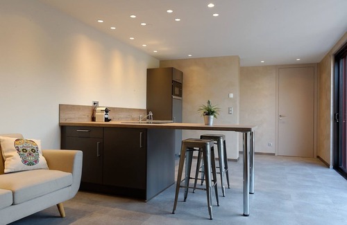 Ribeauville Apartment | Apartment-Luxury-Ensuite with Shower-Mountain view