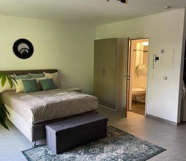 Koblenz Apartment | Apartment mit Stadtblick