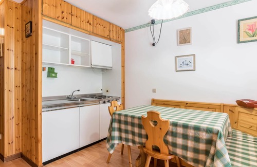 Passo del Tonale Apartment | Apartment "Monolocale 1 Residence Granbaita" with Mountain View & Balcony