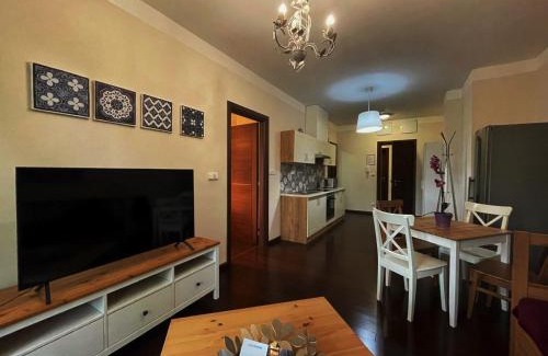 Karlovy Vary Apartment | Apartment Moser 2106