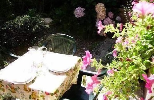 Miasino Apartment | Apartment Oleandro in Miasino