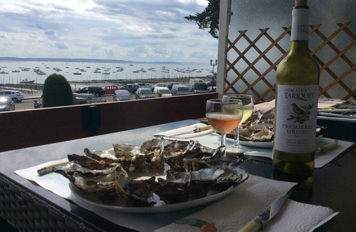 Cap-Ferret Apartment | Apartment overlooking the Bassin d'Arcachon