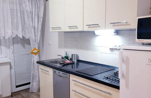 Lipova-Lazne Apartment | Apartment Petra