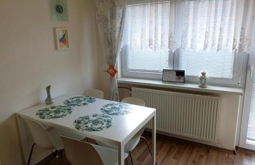 Lipova-Lazne Apartment | Apartment Petra