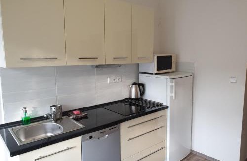 Lipova-Lazne Apartment | Apartment Petra