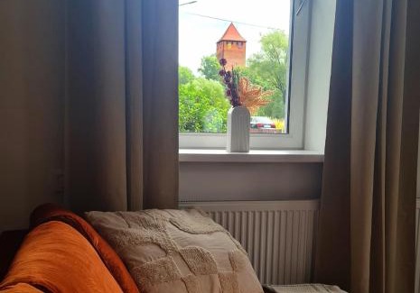 Brzezinka Apartment | Apartment Quiet Street 11/1E