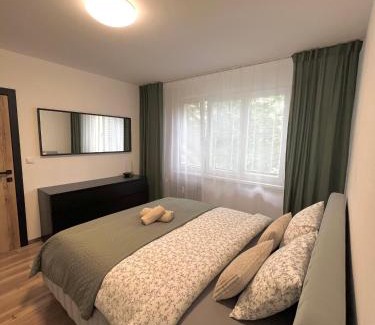 Radvan Apartment | Apartment R&L Švermová - 2 min ESC, balcony