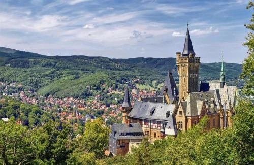 Wernigerode Old Town Apartment | Apartment Remise, Wernigerode
