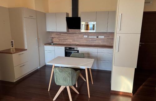 Karlovy Vary Apartment | Apartment Residence Moser - Sauna and Pool
