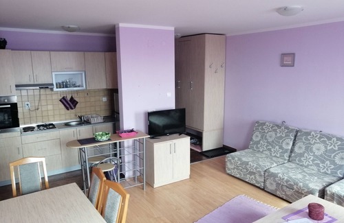 Lisina Apartment | Apartment SAMS LUX with the best view on mountain Kopaonik !