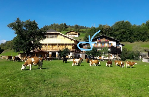 Castelrotto Apartment | Apartment 'Schönblick' with Mountain View, Shared Pool and Wi-Fi