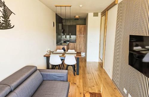 Janske Lazne Apartment | Apartment Ski&Bike Siréna-5 by Interhome