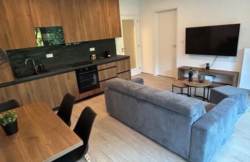 Dolni Morava Apartment | Apartment SKY
