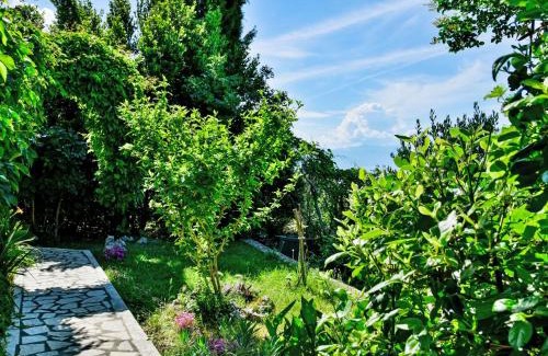 Novi Vinodolski Apartment | Apartment Stana-2 by Interhome