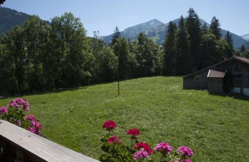 Zweisimmen Nr Gstaad Apartment | Apartment Steimandli by Interhome