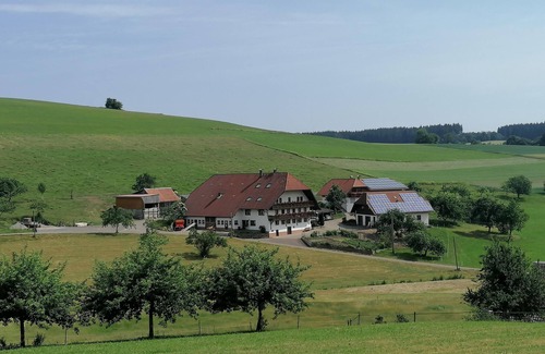Elzach Apartment | Apartment 'Talblick, 75sqm' with Mountain View, Balcony and Wi-Fi