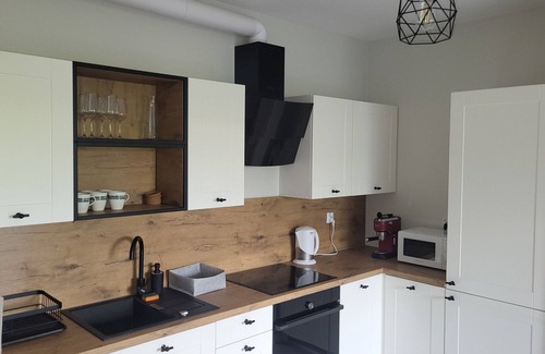 Pradnik Czerwony Apartment | Apartment Tauron Arena Kraków by Renters