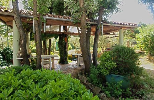 Pjescana Uvala Apartment | Apartment Tea 1651