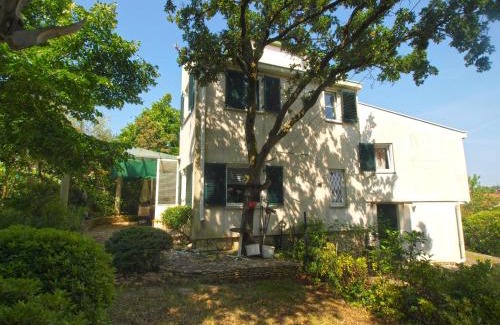 Pjescana Uvala Apartment | Apartment Tea 1651