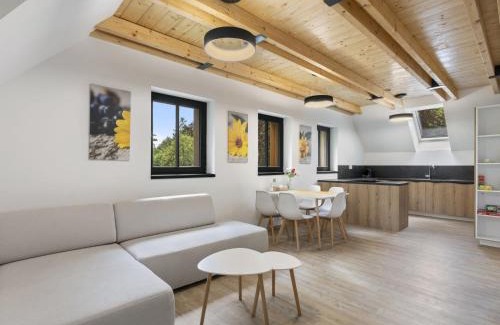 Bedrichov Apartment | Apartment U Buku-2 by Interhome