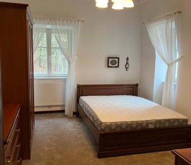 Karlovy Vary Apartment | Apartment Villa Dionysus