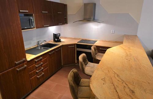 Brno-stred Apartment | Apartment Vodni with parking