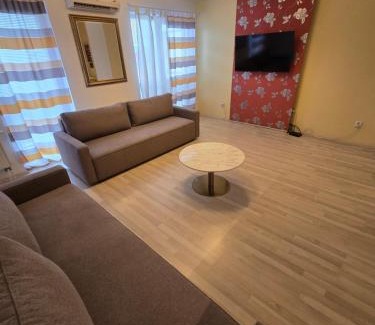 Brno-stred Apartment | Apartment Vodni with parking