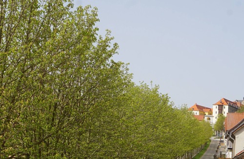 Ballenstedt Apartment | Apartment with balcony facing the avenue especially for couples with a car