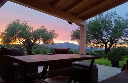 Arzachena House | Apartment with garden