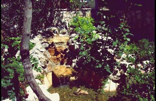 Murter Apartment | Apartment Zena