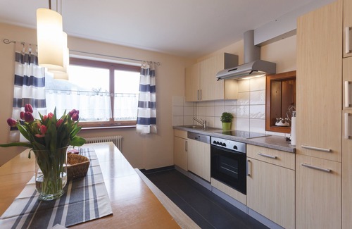 Vandans Apartment | Apartment Zimba large vacation apartment with wonderful garden in Vandans in Montafon