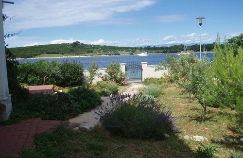 Ilovik Apartment | Apartments Azur (104721-A2) - Ilovik