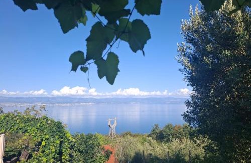 Mosenice Apartment | Apartments Blue & Green