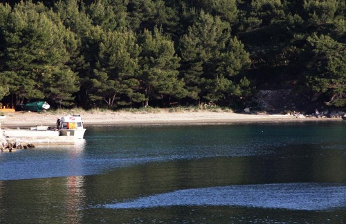 Kobas Apartment | Apartments by the sea Cove Saplunara, Mljet - 4896