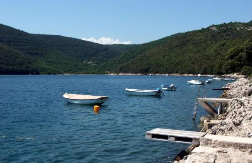 Duga Luka Apartment | Apartments by the sea Duga Luka - Prtlog, Labin - 2335