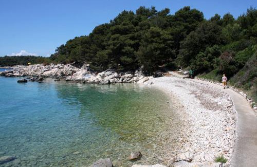 Suha Punta Apartment | Apartments by the sea Kampor, Rab - 24554