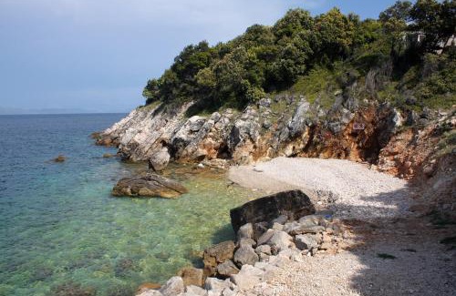 Kozarica Apartment | Apartments by the sea Kozarica, Mljet - 4950