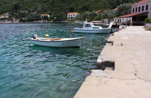 Prozurska Luka Apartment | Apartments by the sea Prozurska Luka, Mljet - 22333