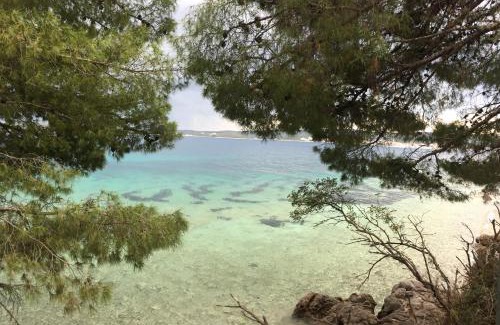 Kuciste Apartment | Apartments Jadra