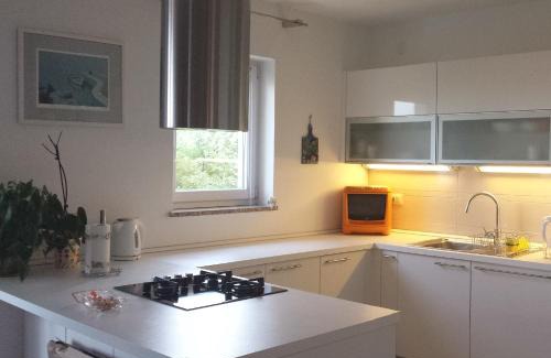 Salatic Apartment | Apartments Jana