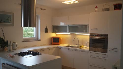 Salatic Apartment | Apartments Jana