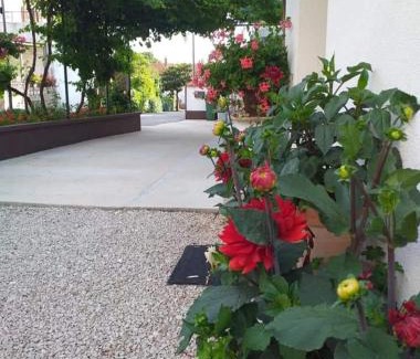 Biograd na Moru Apartment | Apartments Jeličić