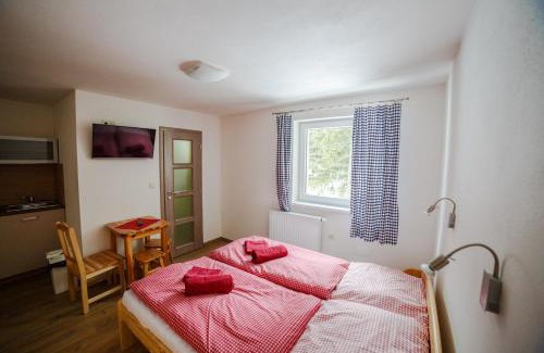 Jasna Apartment | Apartments Kvasničník