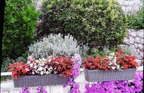 Kolocep Island Apartment | Apartments Maria Koločep- Three Bedroom Apartment with Backyard Terrace and Sea View